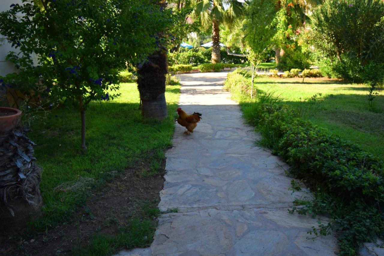 Adrasan Beach Club Hotel Antalya Eksteriør billede